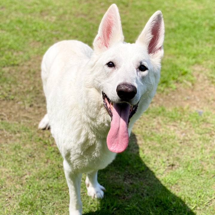 Bc41bbc3 c478 40ee 88fa f601645fe3d8 1645794171040