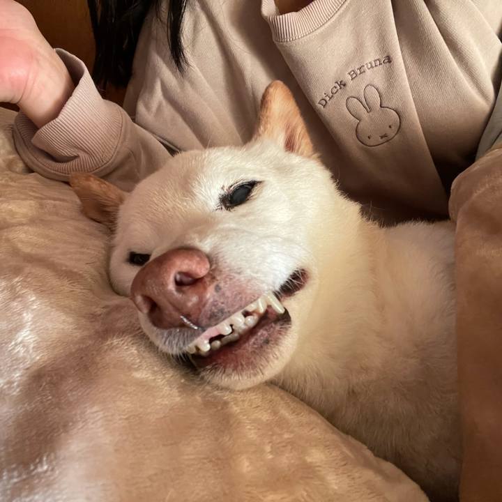 Bc41e0b7 bb3f 4ebe b25c 5a6e71a21f4e 1640908709353