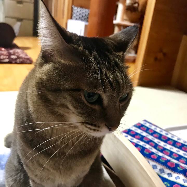 Bc41f607 a411 425f a744 6fd77e792b5a 1547822360489