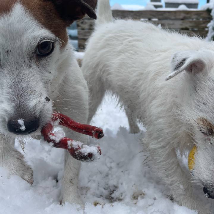 Bc4211b8 7384 4cbb aa4d fded9b1e3e99 1766800673382