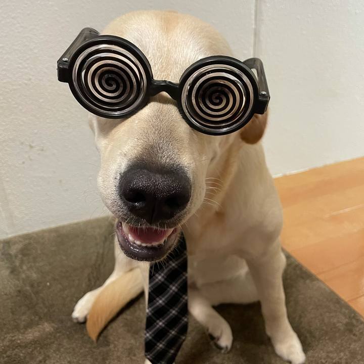 Bc4265dd e177 464e 9853 0bd9d71bf1f5 1625063358768