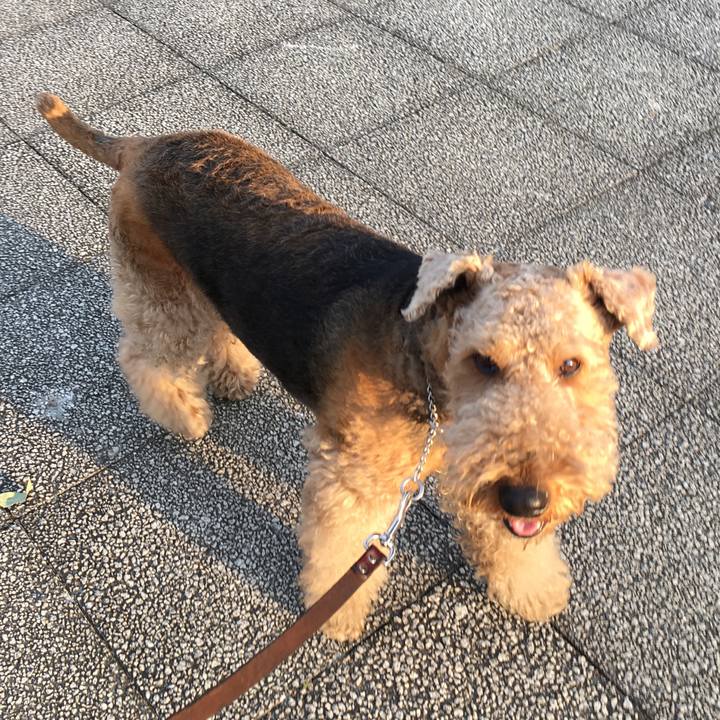 Bc426cb2 188c 440f 9760 0b3b4bf42c61 1516104824799