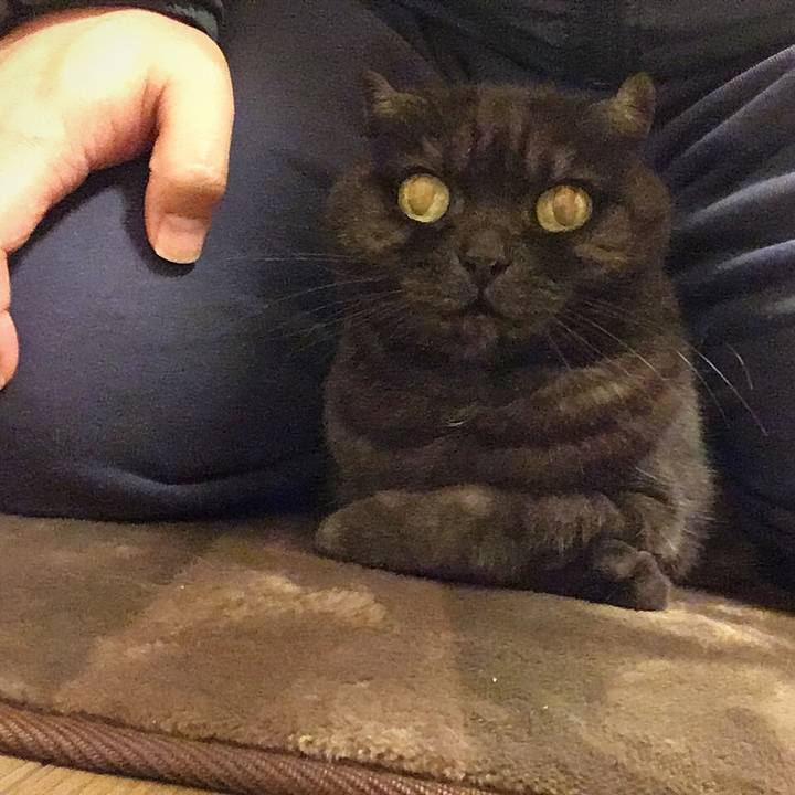 Bc4271e1 339c 4038 933e f6f260205fd4 1583511679888