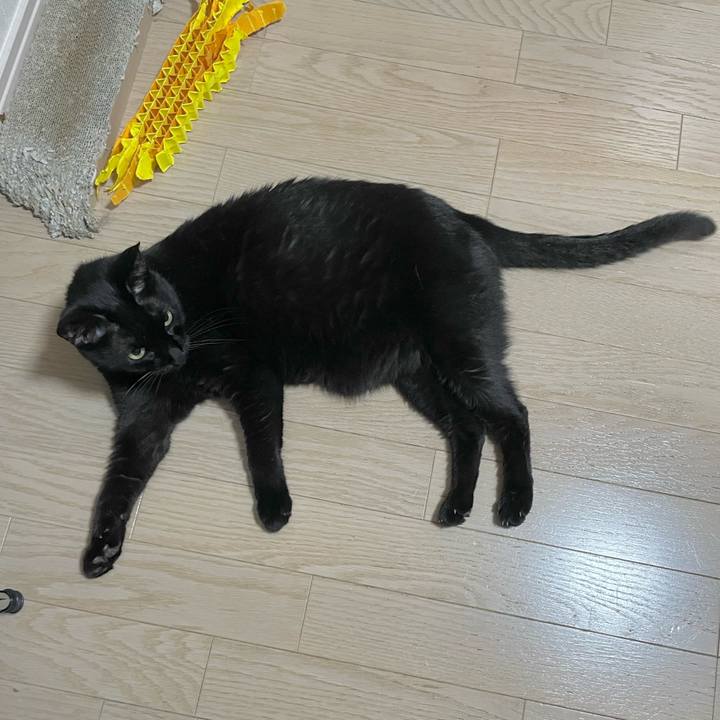 Bc42fe64 5858 4119 b97f 435567e0894a 1718022456827