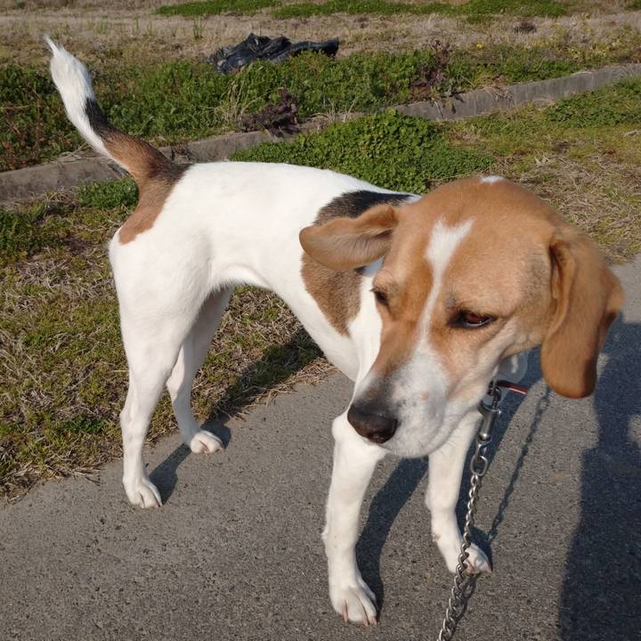 Bc4323a0 9a82 41bb 80a1 648f69f6208c 1583133881184