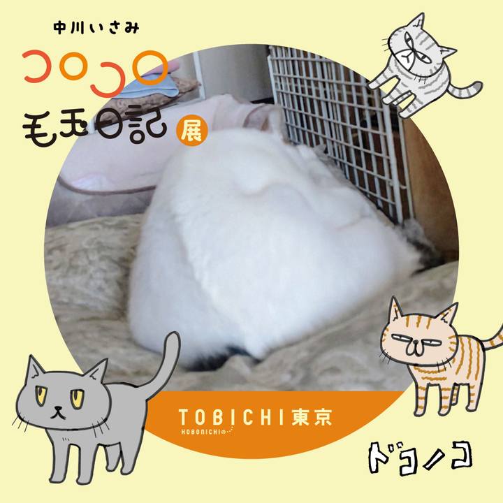 Bc4327b7 42e1 4351 97a0 1275964a9472 1740139367264