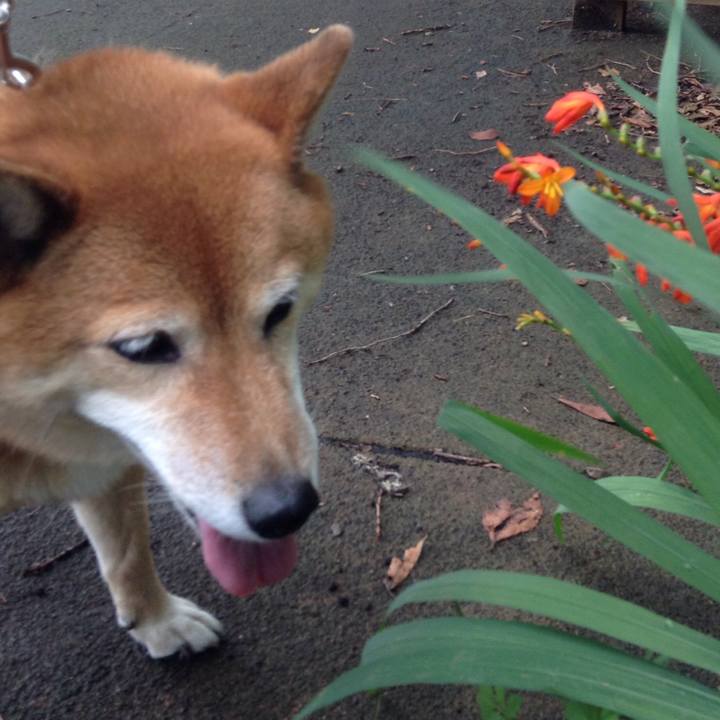 Bc4348e5 2f01 425c 9349 19e8c4792291 1531369977471