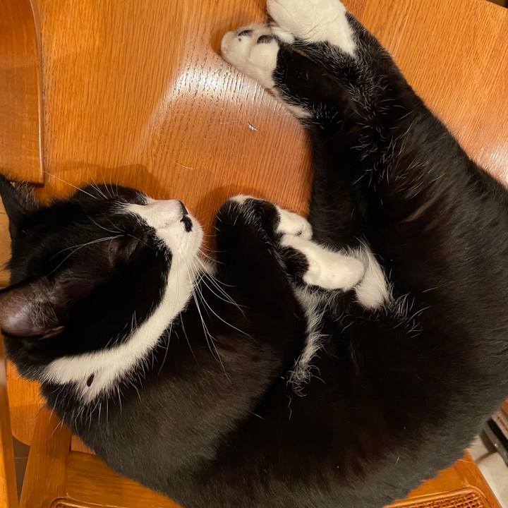 Bc437b63 7a7d 4194 ac48 7015cb77148a 1657714164143