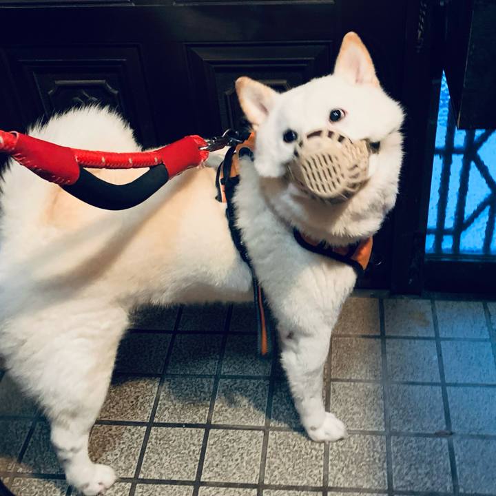 Bc43955c 8574 497e 8d40 6f0f791aa27e 1671834541132