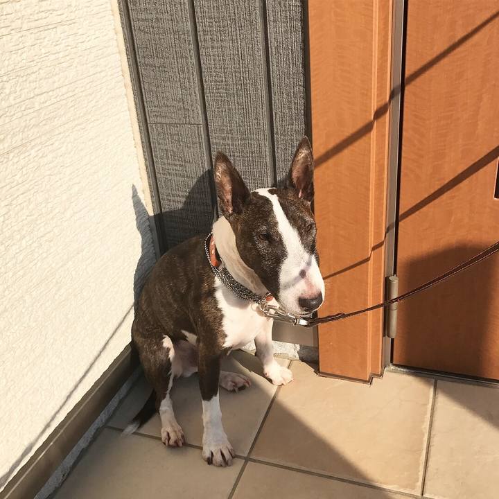 Bc43b014 e018 41c4 8f1d 0f0845aeba67 1510013031234