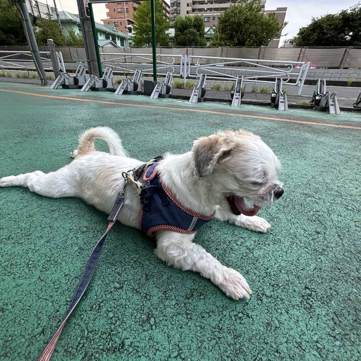 Bc43d563 438a 47ae 8a1c 745b2f65c98f 1757796270938