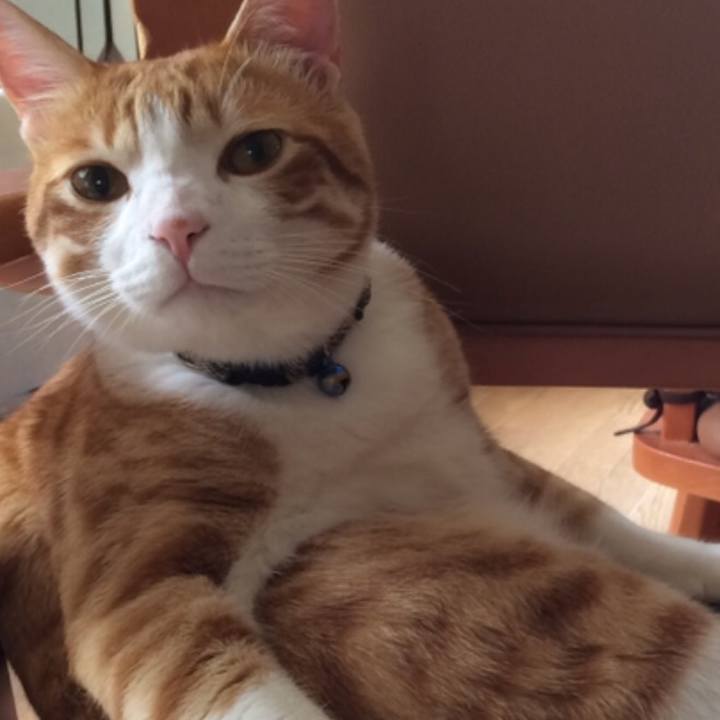 Bc43e16b 919b 44e4 a952 e6df0b1c52fd 1513080216621