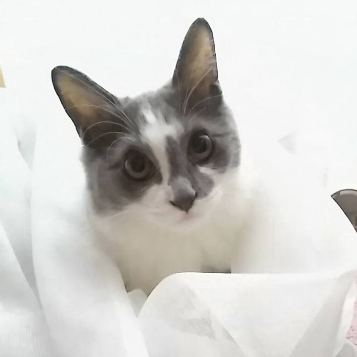 Bc43ee34 e1db 4343 adad 487b02e42b07 1569056122397