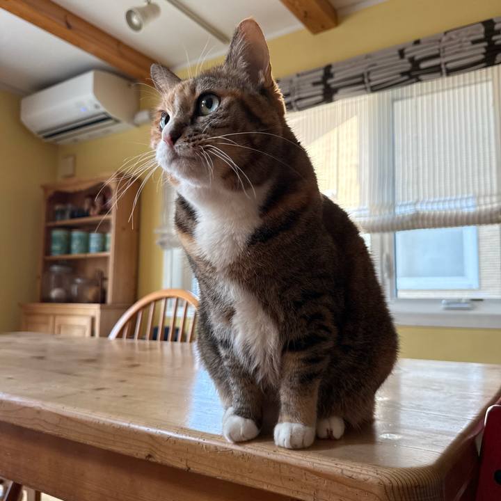 Bc43ee9e 7d17 483a a51a d27165a95bdb 1774655135909