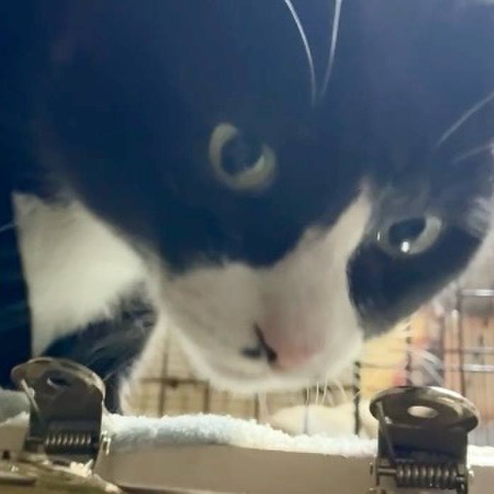 Bc43fd21 4ff7 4f4b a82e ef86b0b273e4 1763460036822