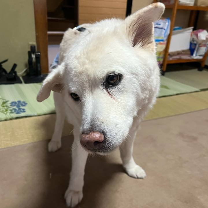 Bc445153 bf57 4923 933e a381e82860d0 1768260705794