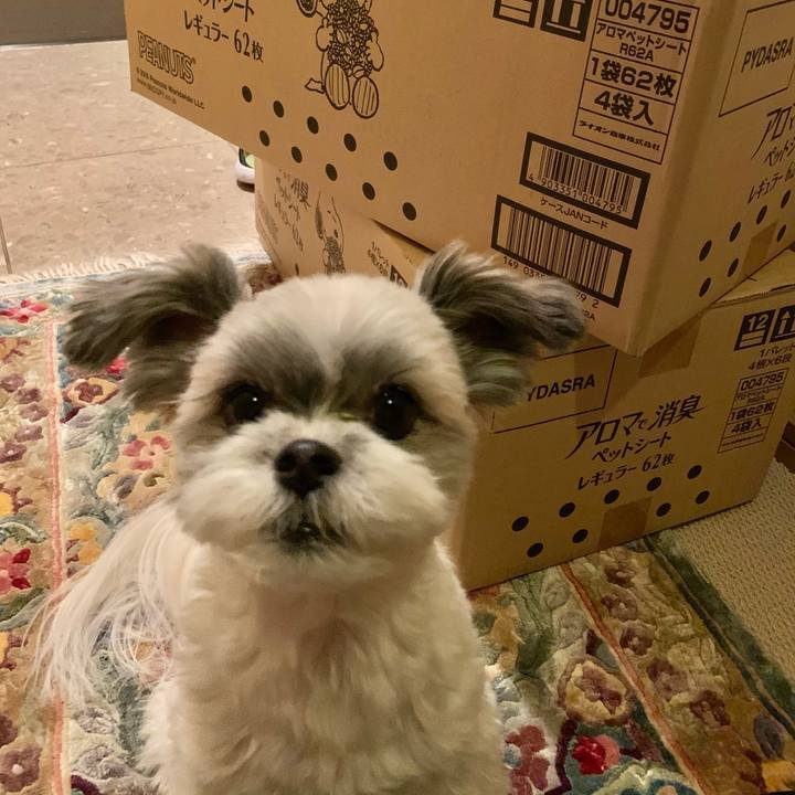 Bc446389 d9ab 48e1 a9bf 8f5a221249cd 1607075547073