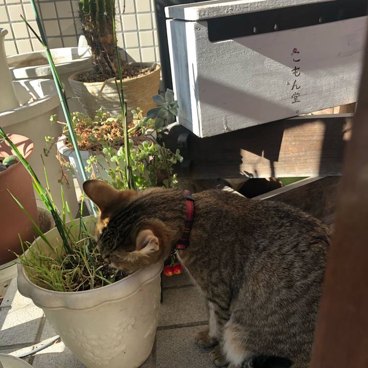 Bc4488aa 0332 4fb9 9ac5 11cfccfc59d5 1612746134858