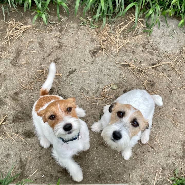 Bc448ccf d2b5 43b1 a7f2 5bdca8d440bf 1658264898296