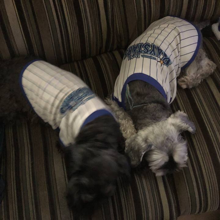 Bc44987a b0df 424c a409 88235f8ad81b 1559974294081