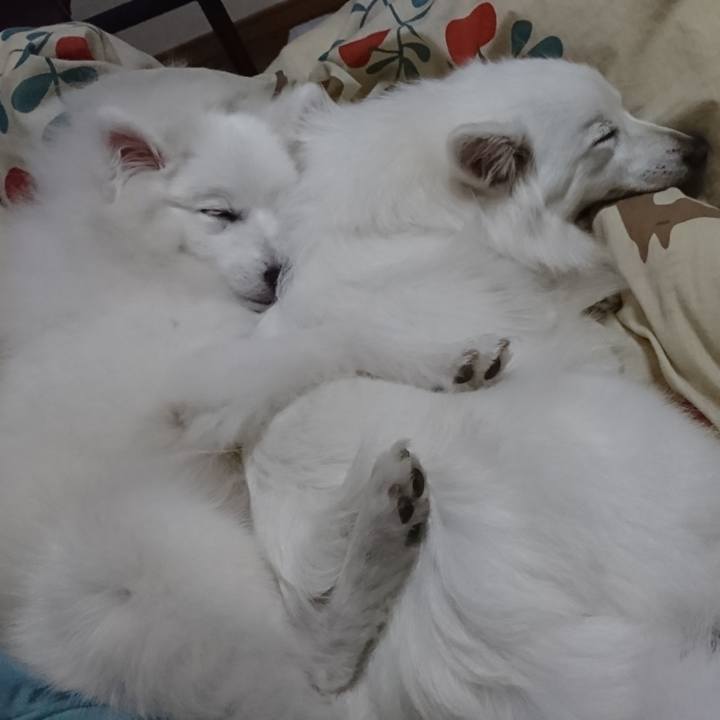 Bc44a7c0 b518 4ae4 bd90 e39a99da59e8 1556749690930