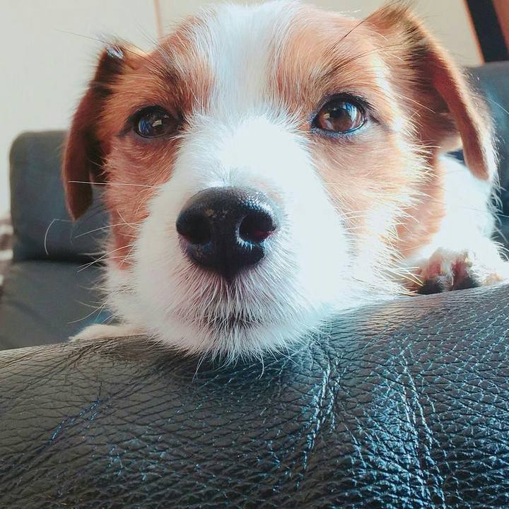 Bc44b970 70a7 495d afb8 8bc0b1c7dfa7 1512343683728