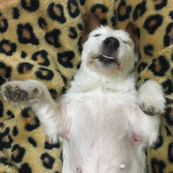 Bc44c7ec 0e9e 4ee2 b7ea f19d70eaeee6 1577878031581