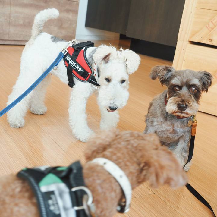 Bc44e8bf 8c43 4469 a984 682a62ae4a36 1534858414951