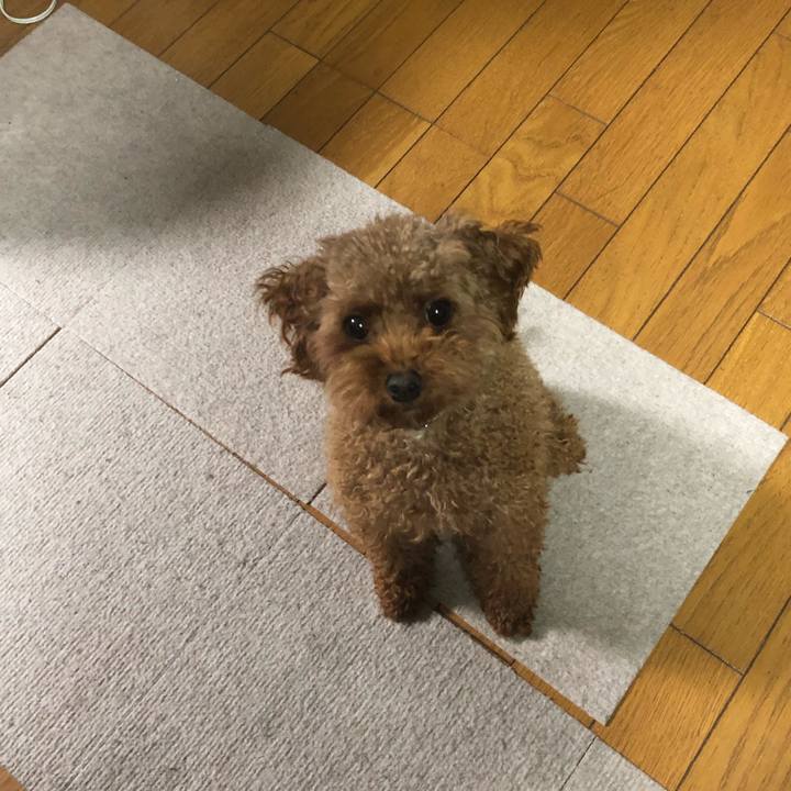 Bc44e8cf d857 48b9 93df 99477657a3b8 1542143278694