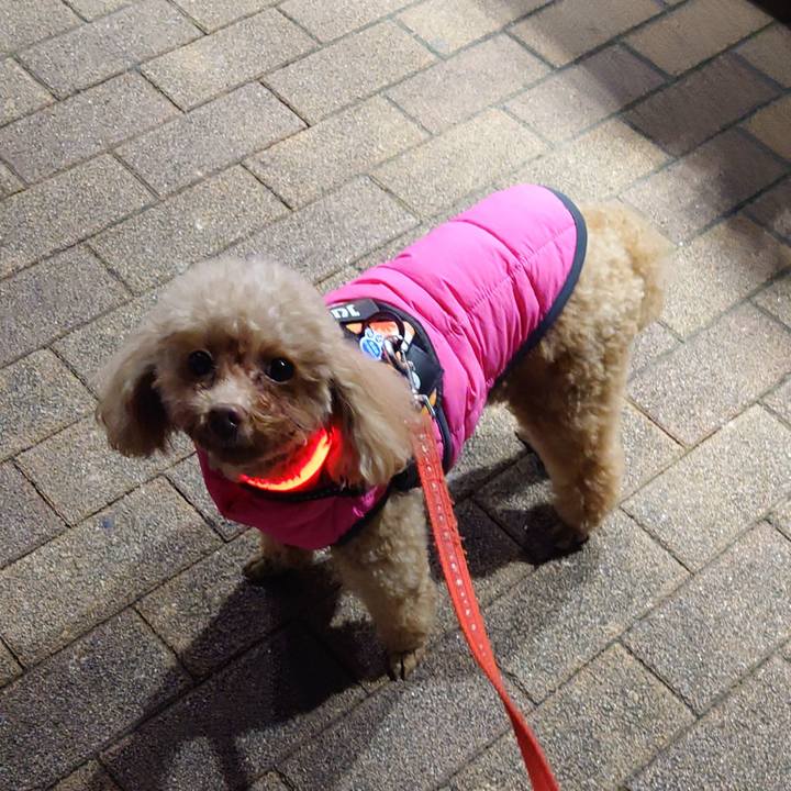 Bc44f4b7 2da7 4271 97c4 13e06223eed1 1740828947575