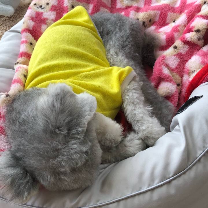 Bc454652 844f 4608 b1af 74d99bbf4a1a 1658982494601