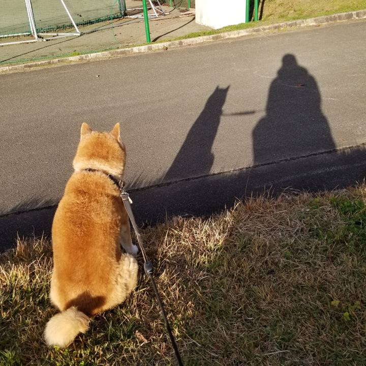 Bc4578e8 8d9f 46fa 8fd1 c3f90134536a 1700806631342