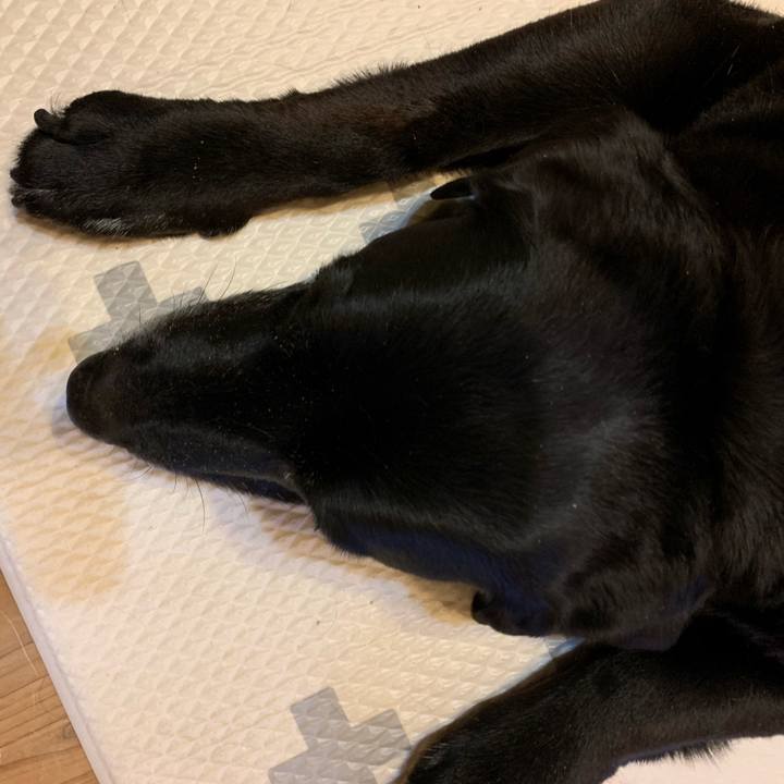 Bc457a20 6d30 459e 97d1 a5f711481775 1552951041127