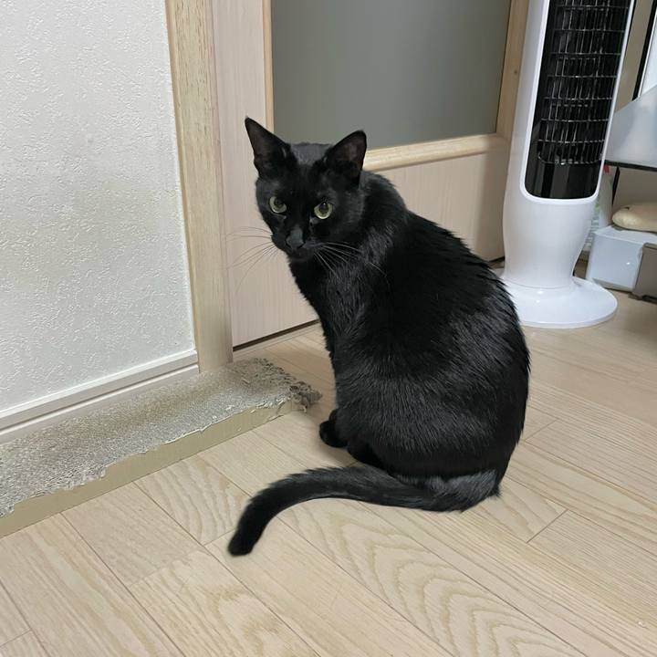 Bc45951e 0f94 4dfe b1de d719de60f30d 1697027435690