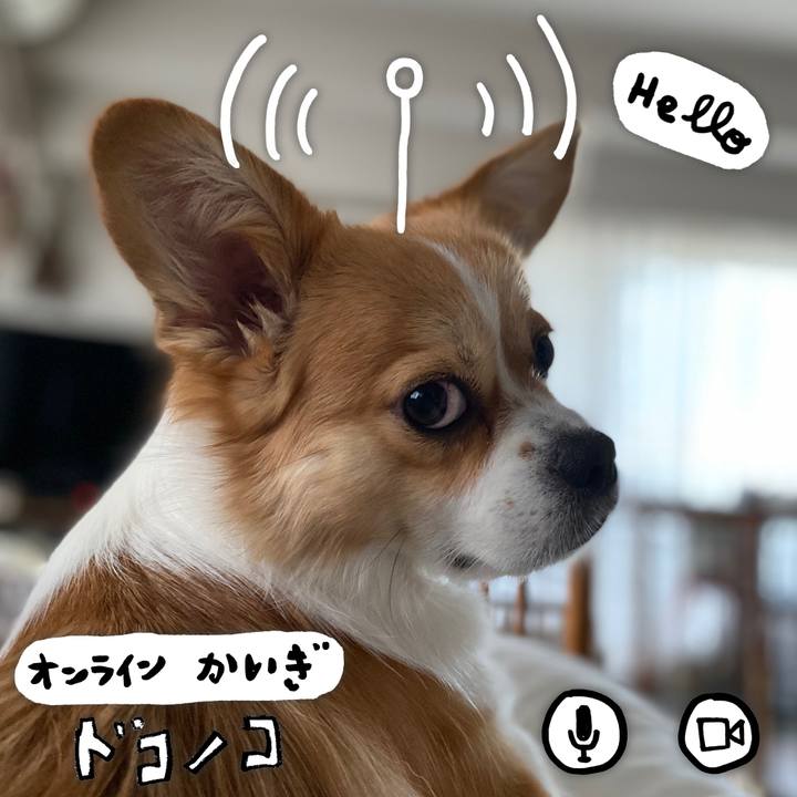 Bc45d189 47ce 488f 817c b52685722678 1590794841469