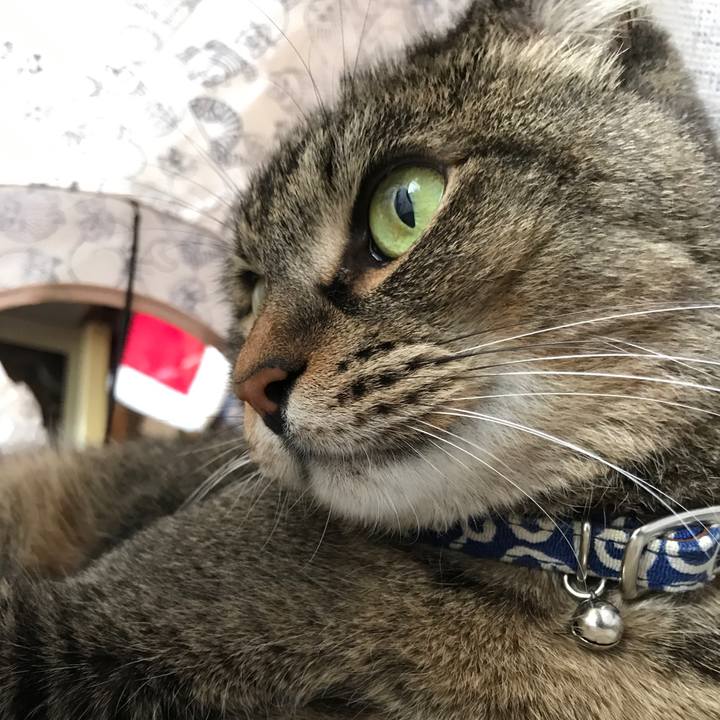 Bc45e09a a769 4eef 8be2 82483d8a7c30 1561352237814