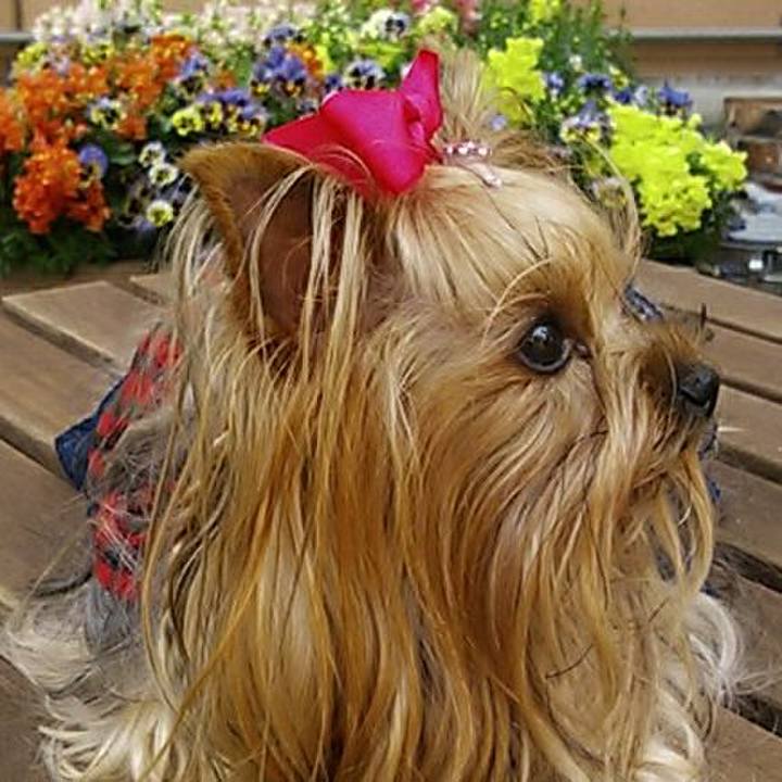 Bc460a75 5ba7 4dc2 98fe 3623681acbd5 1583561937054