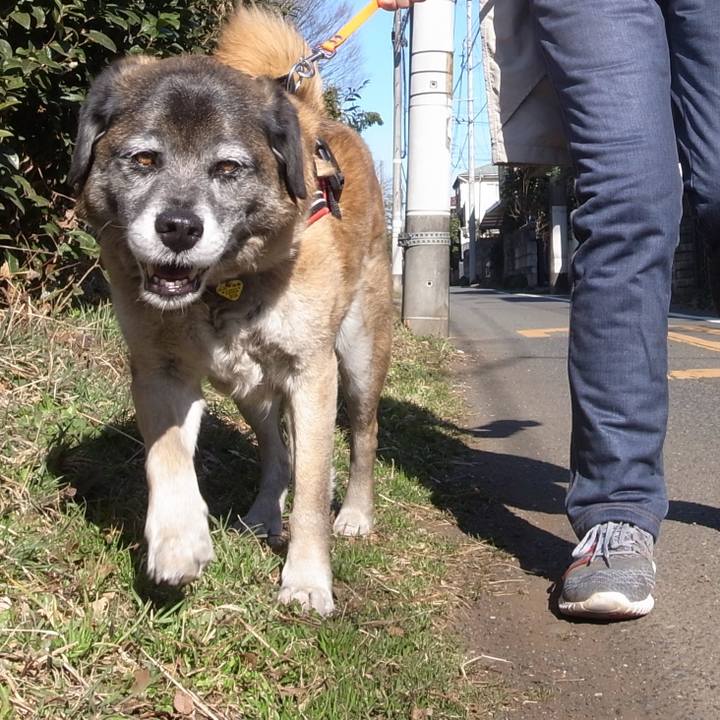 Bc460b26 3469 4f0e 86e5 0917dcb78e10 1598573536480