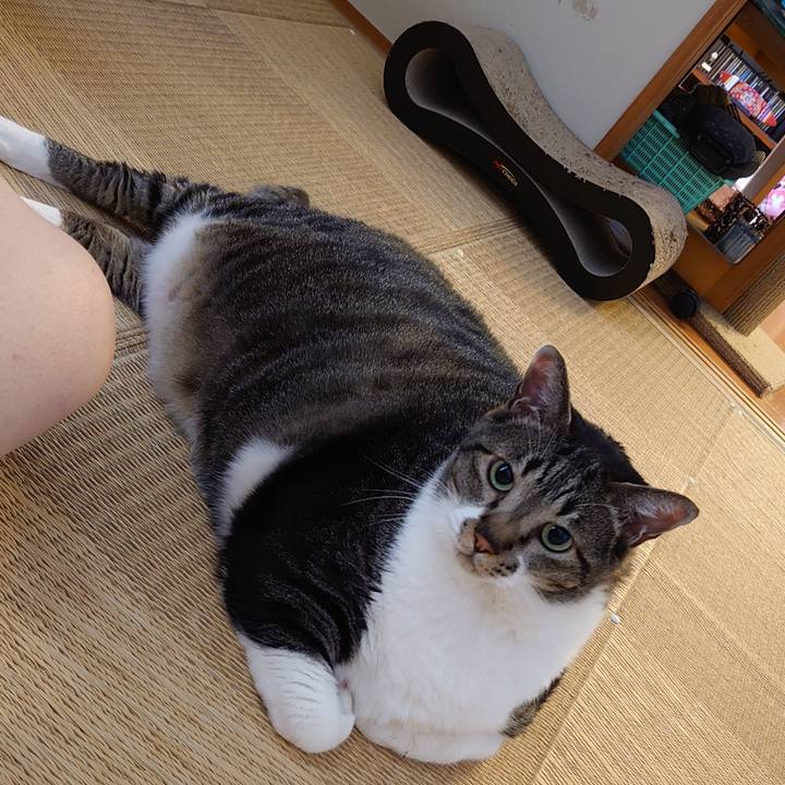 Bc4611fd 0a04 4665 9605 9741a0190a8c 1626238238244