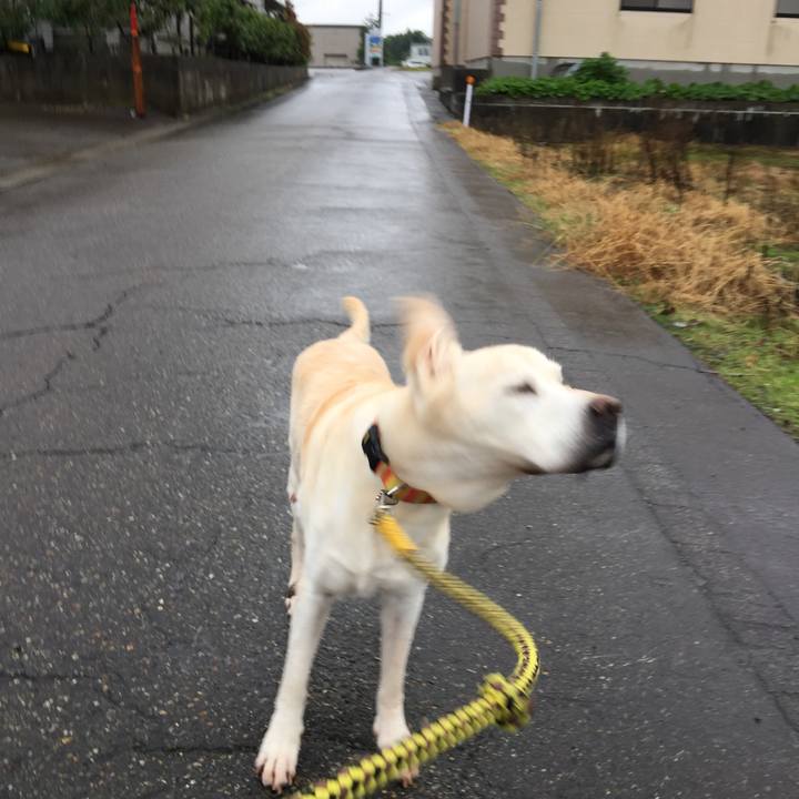 Bc4642f7 8374 43ea 8b9a 78e82c1ae2eb 1570874060407