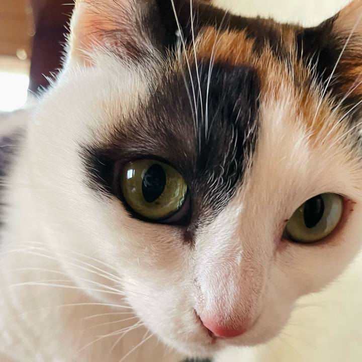 Bc464bc9 99c9 4077 a83d 3c863a37969f 1647654464359