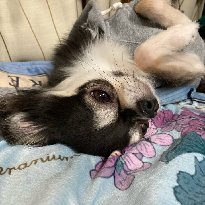 Bc465ab9 bc16 4220 bd40 8ab730b76777 1641131585168