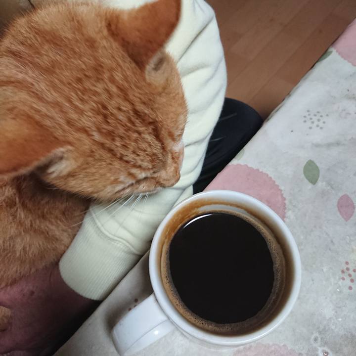 Bc469f33 c0a5 4506 8245 c89e6261256a 1602101651507