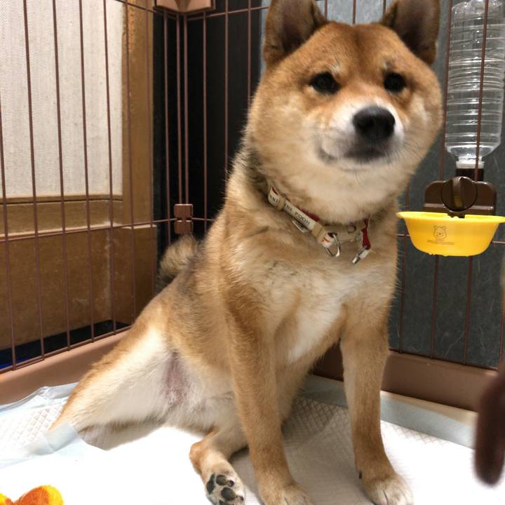 Bc46b99f aa2e 4f5c 906f 00cded2b03fb 1560591867376