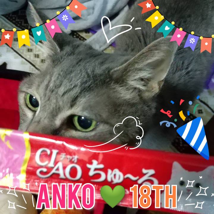 Bc46b9b4 40ee 4c72 b8a8 56bce833ad1c 1696935903657