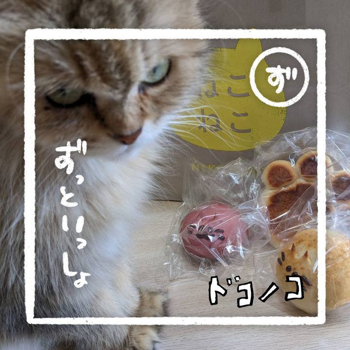 Bc46bf3f 73de 4ce9 8cff 0d87cf4813a1 1685940627016