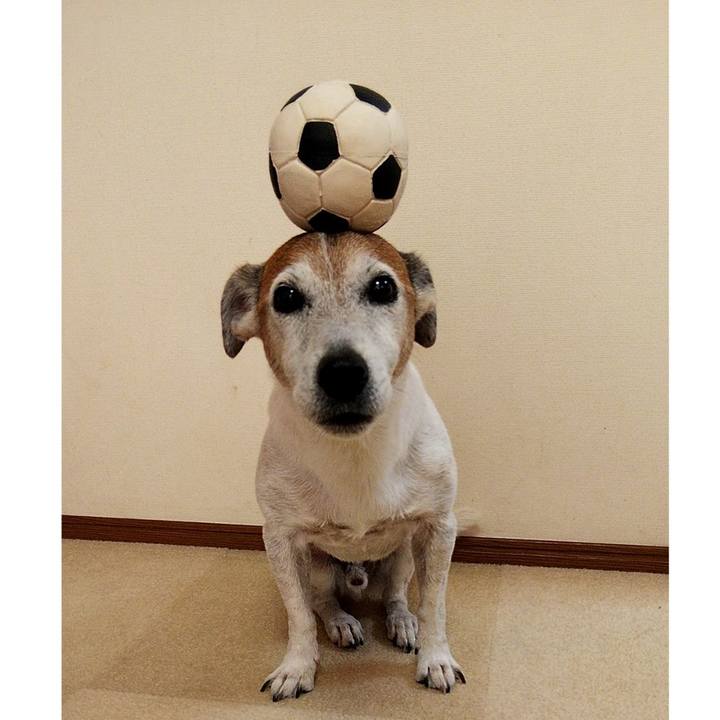 Bc46fb3a 2b55 492f a1f6 8ca03ddb667e 1564289492174