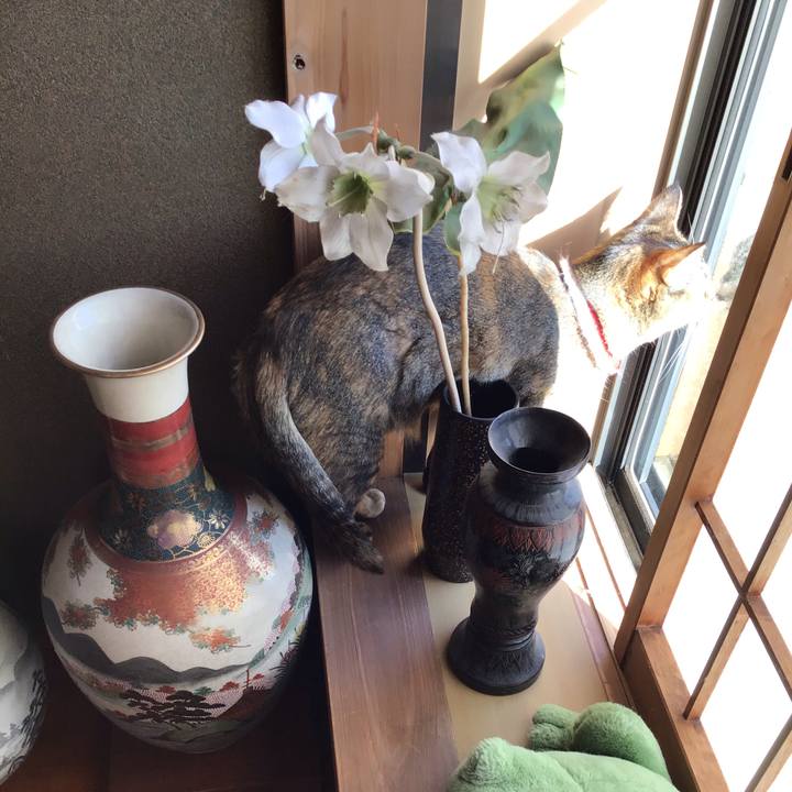 Bc471c80 8d26 4e40 896c 5ef64ec0afa2 1609807750958