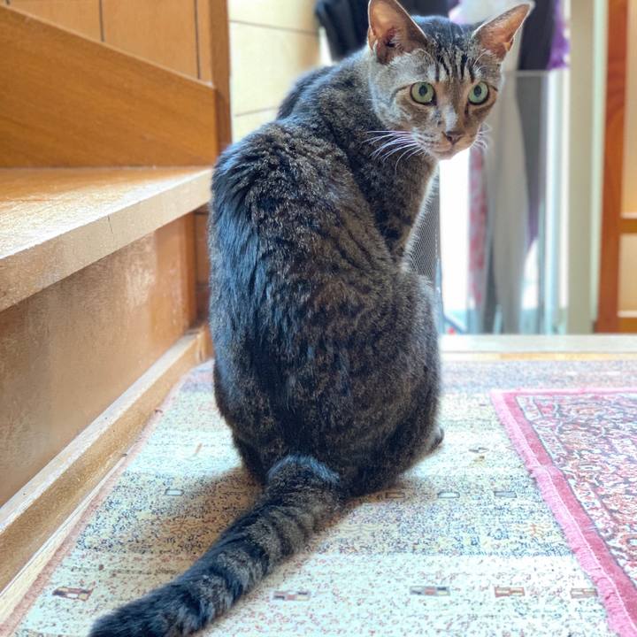 Bc47a727 5e88 4c79 b132 dd70d988cace 1567387772567