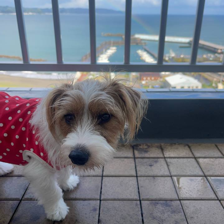 Bc47aac8 9aaa 48ed b1a3 1cfdbaa34a96 1759297436482